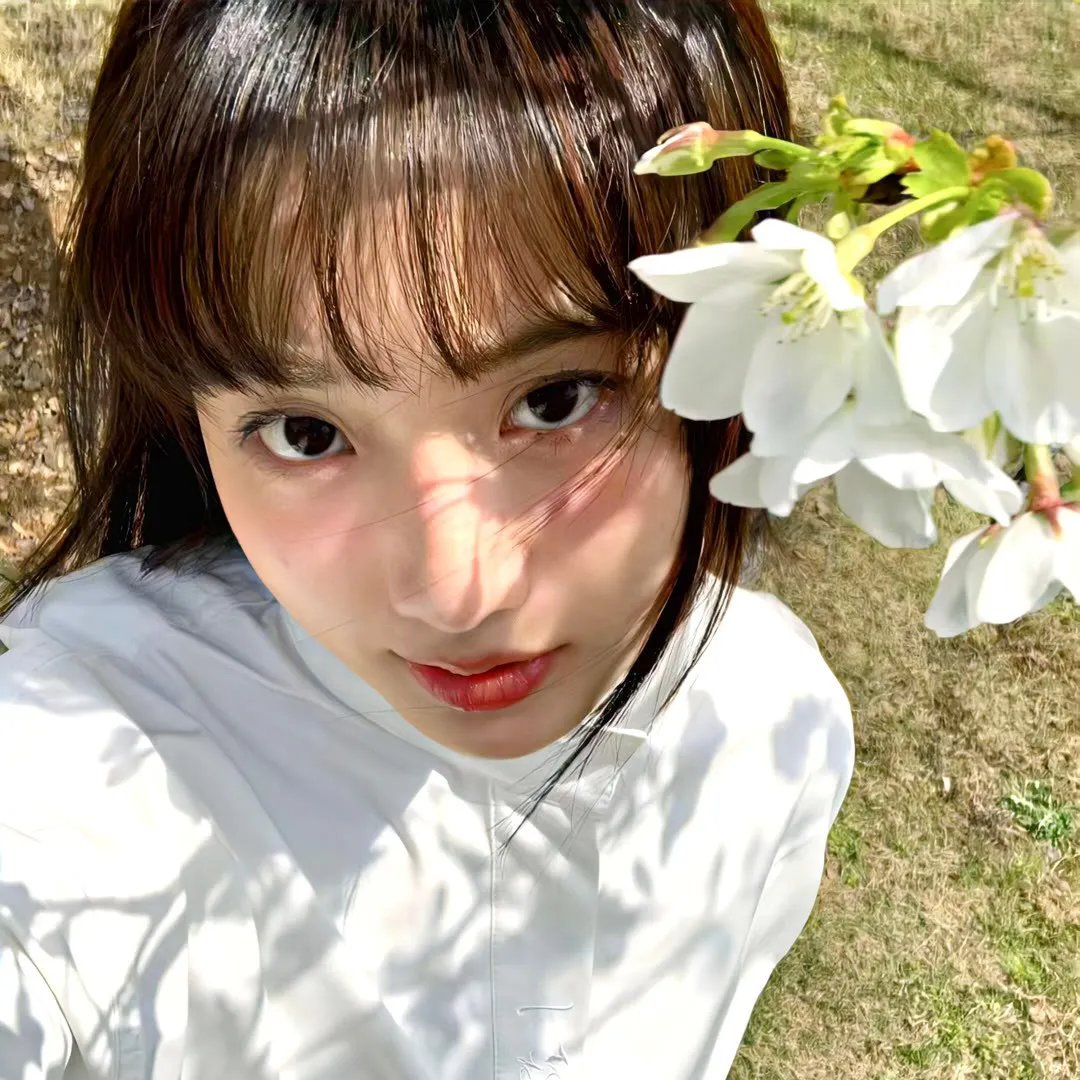 名花有主
